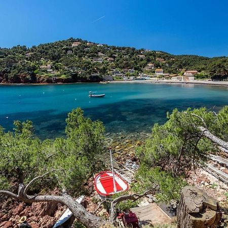 Appartement "Le Fabregas" 4 Pers Vue Mer La Seyne-sur-Mer Kültér fotó