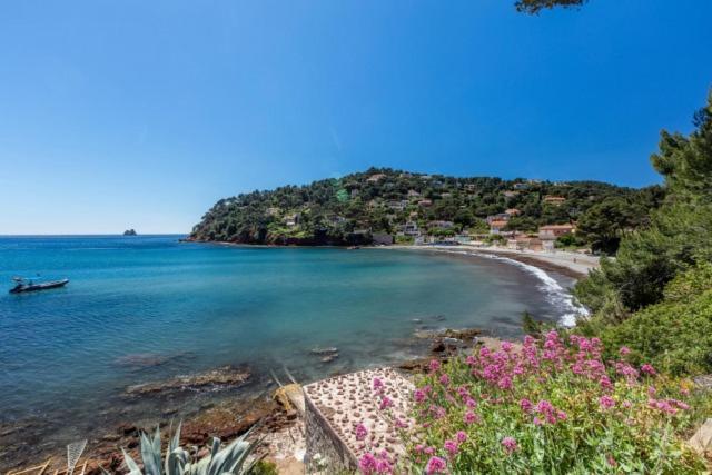 Appartement "Le Fabregas" 4 Pers Vue Mer La Seyne-sur-Mer Kültér fotó